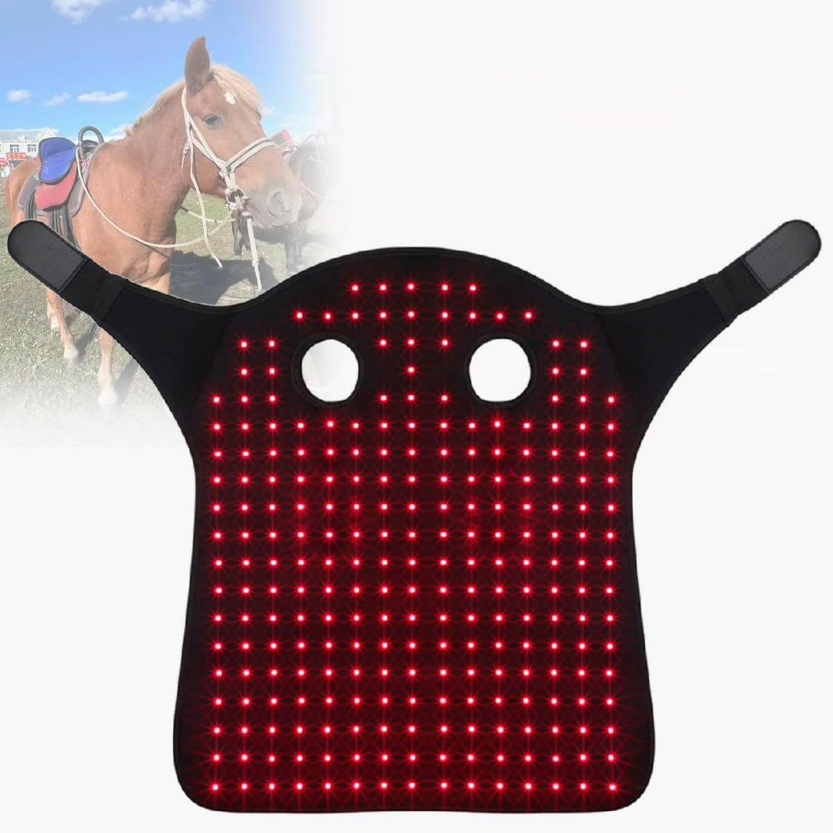Coussin de luminothérapie Rouge pour Chevaux: affichage LED, format portable